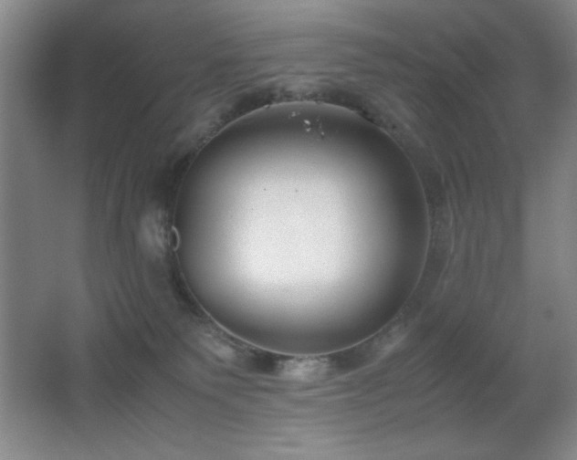 X0000067930135200604131432