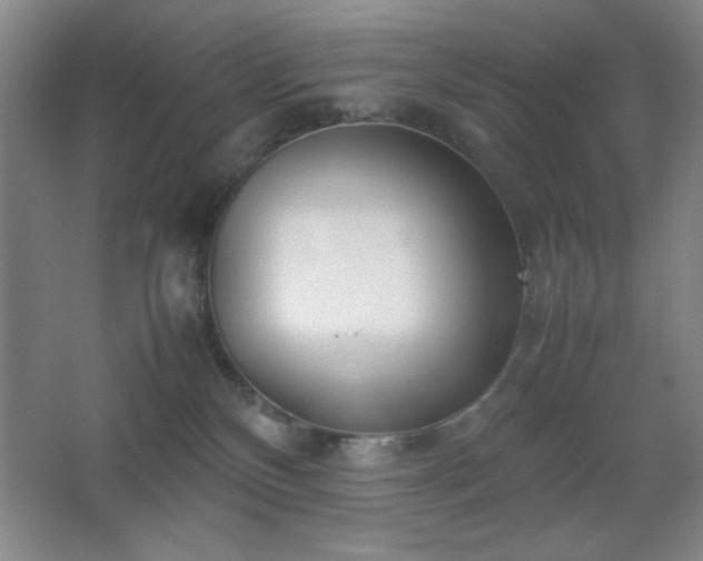 X0000067930136200604131432