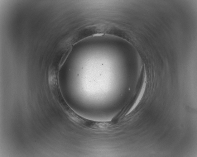 X0000067930137200604131432