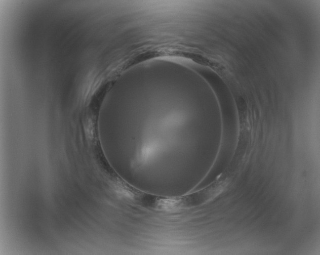 X0000067930139200604131432