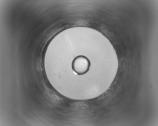X0000067930146200604131431