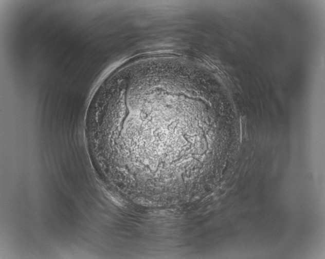 X0000067930147200604131431
