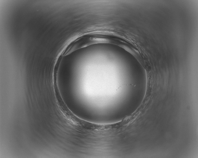 X0000067930148200604131431