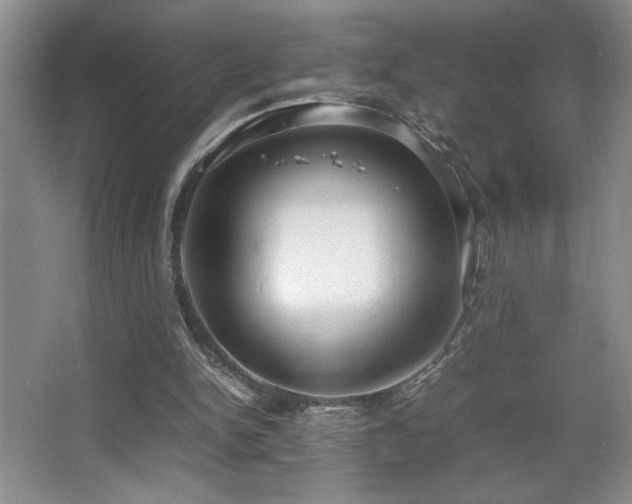 X0000067930150200604131431