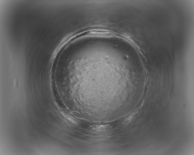 X0000067930151200604131431