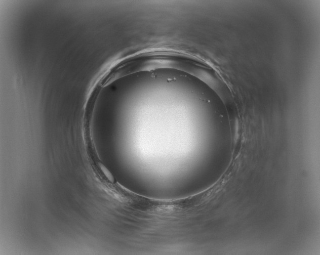 X0000067930152200604131431