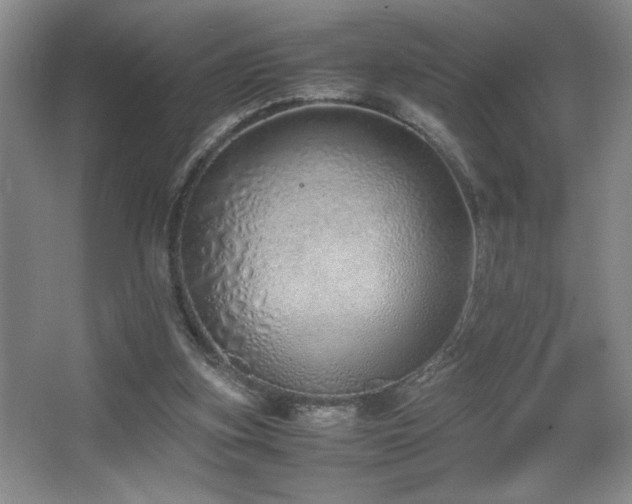 X0000067930155200604131432