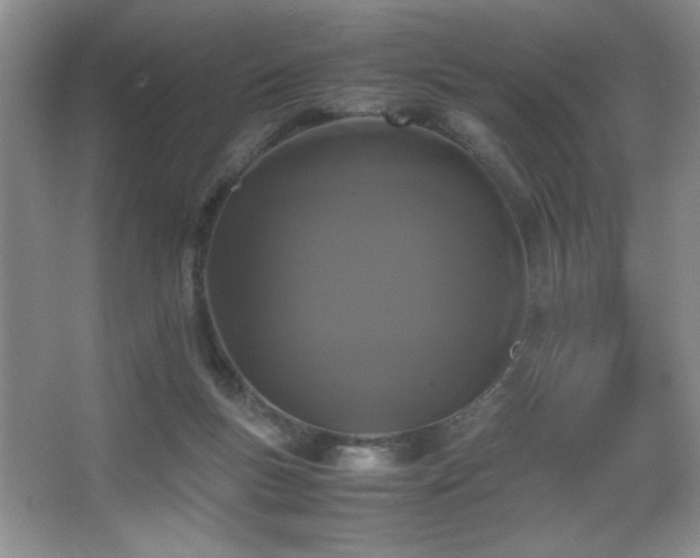 X0000067930167200604131432