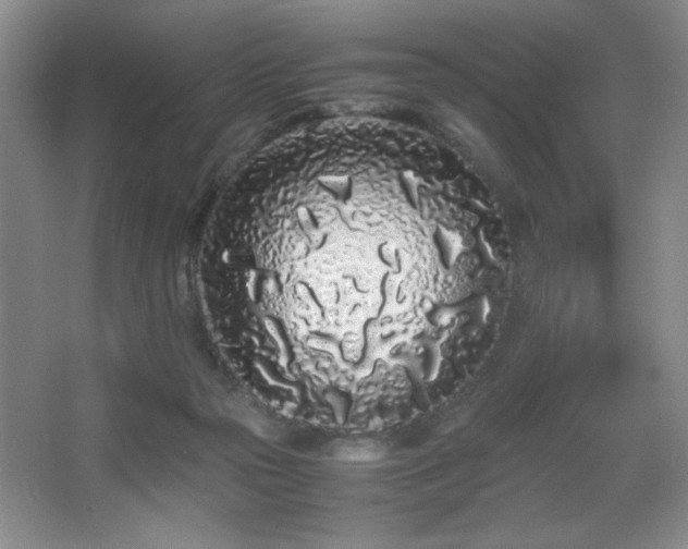 X0000067930169200604131432