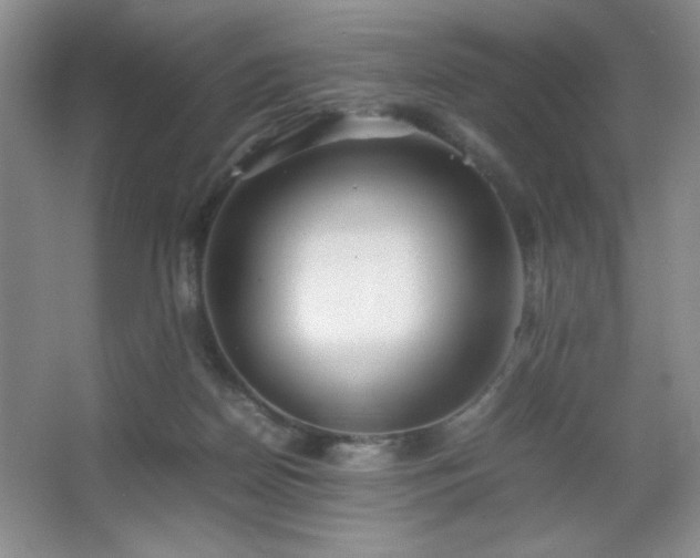 X0000067930170200604131432