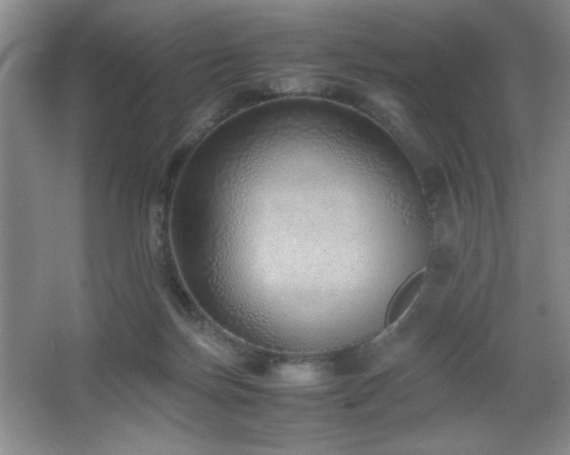 X0000067930171200604131432