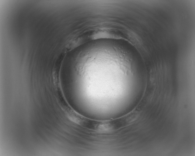 X0000067930173200604131432