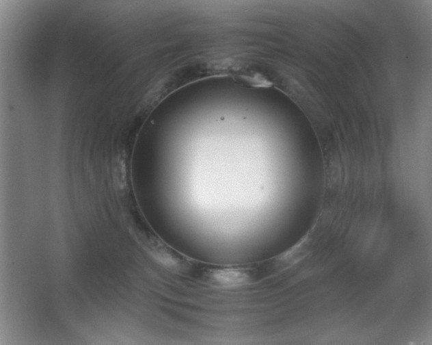X0000067930183200604131432