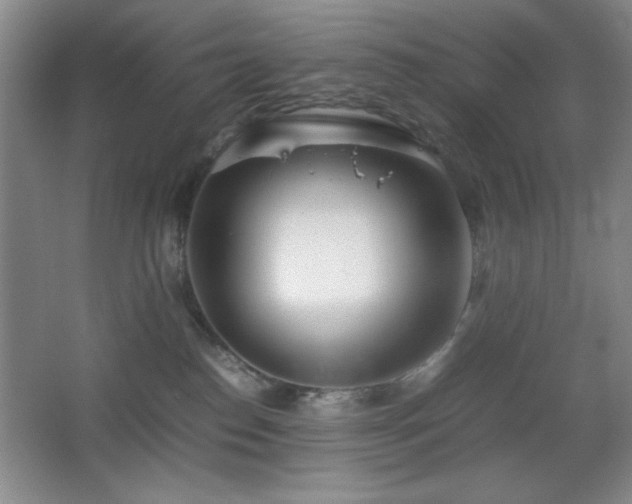 X0000067930186200604131432