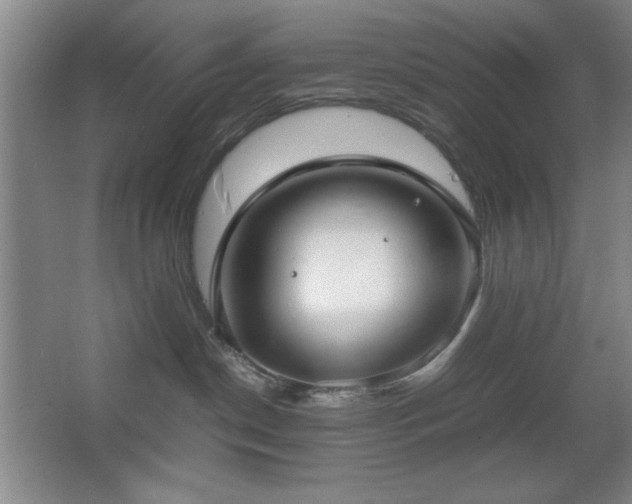 X0000067930190200604131432