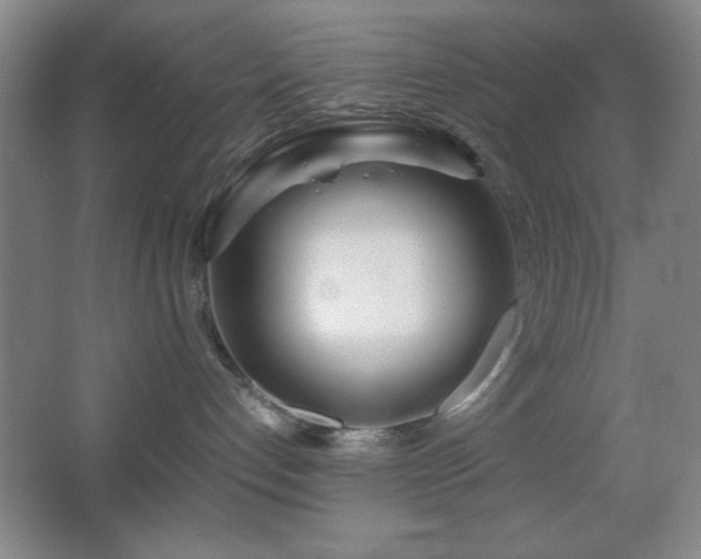X0000067930192200604131432