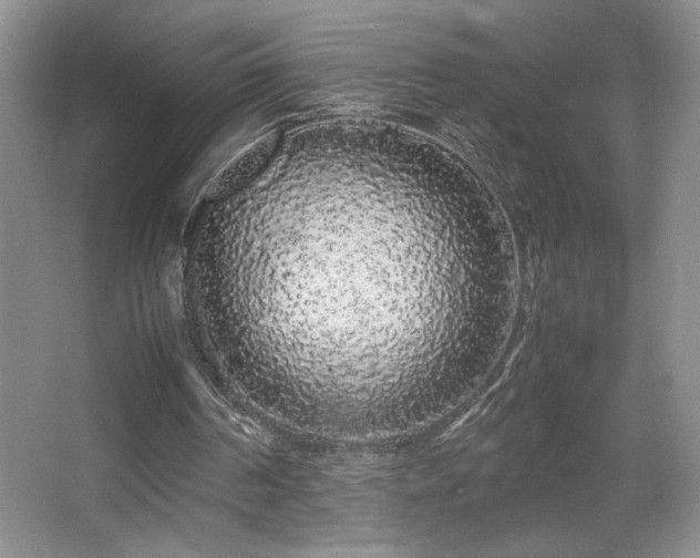 X0000067930194200604131431