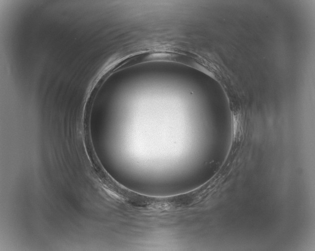 X0000067930195200604131431