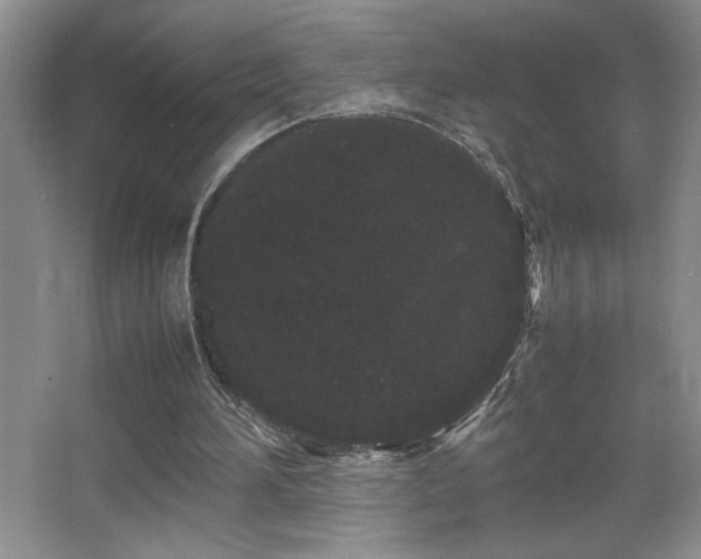 X0000067930196200604131431