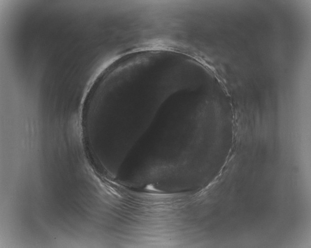X0000067930200200604131431