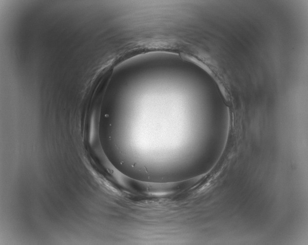 X0000067930201200604131431