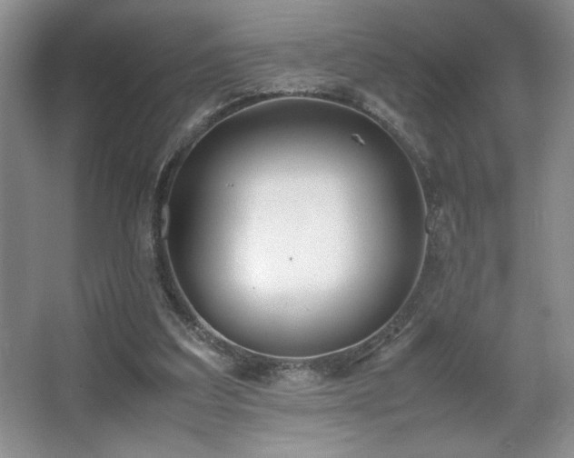 X0000067930203200604131431
