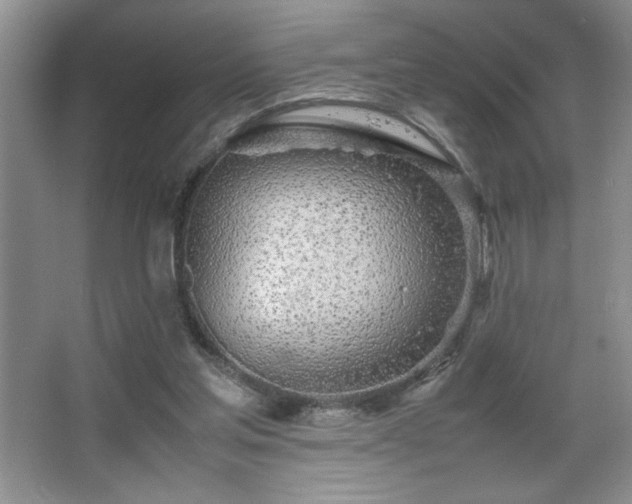 X0000067930205200604131431