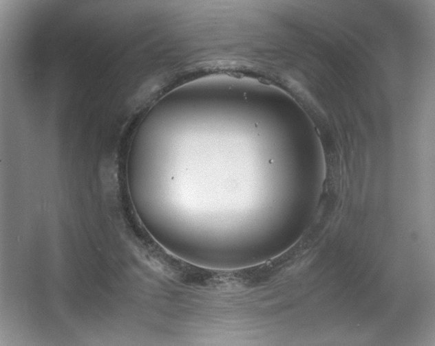 X0000067930207200604131431