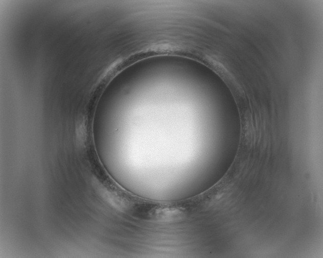 X0000067930208200604131431