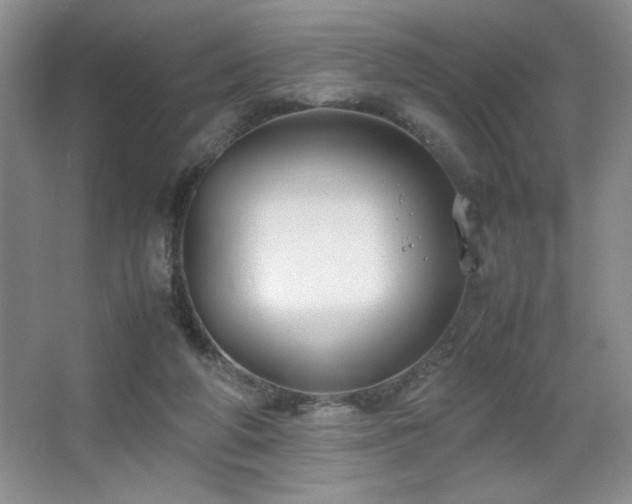 X0000067930210200604131431