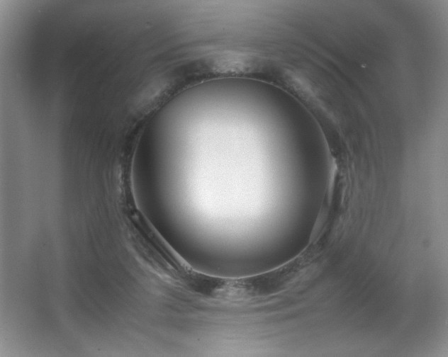 X0000067930211200604131431