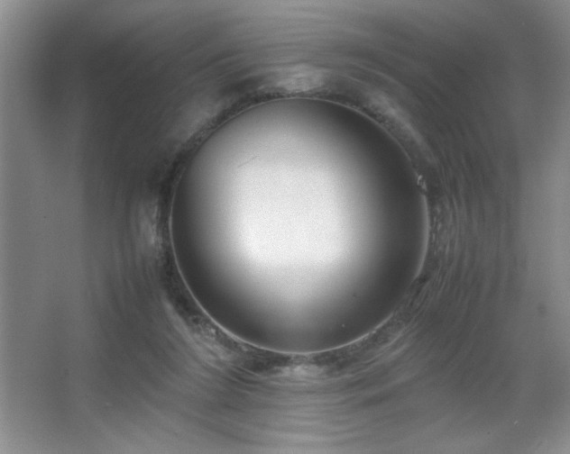 X0000067930212200604131431
