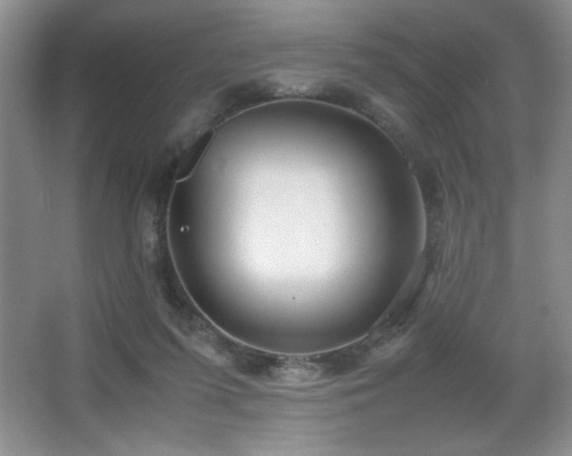 X0000067930215200604131431