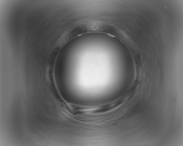 X0000067930217200604131431