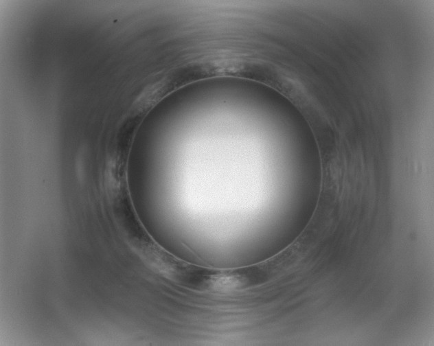 X0000067930218200604131431