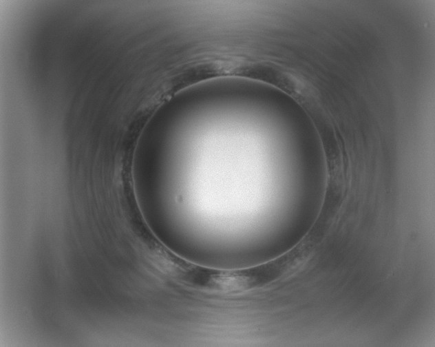 X0000067930221200604131431