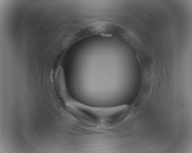 X0000067930223200604131431
