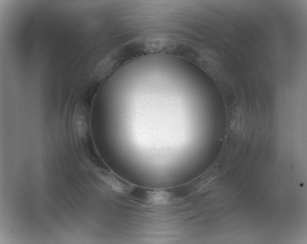X0000067930226200604131431