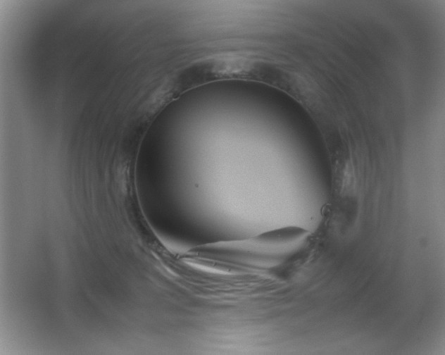 X0000067930227200604131431