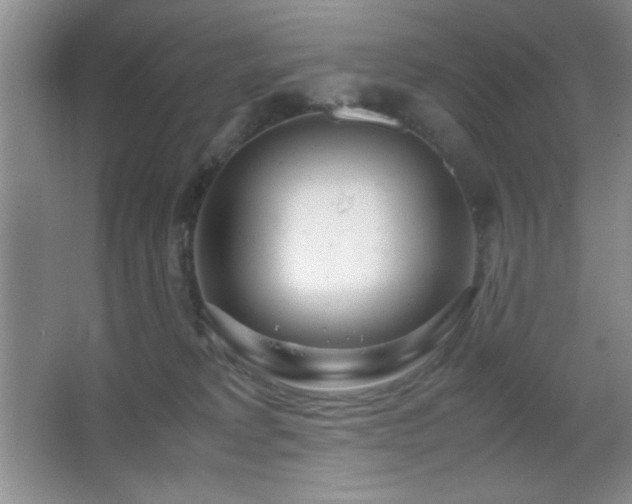 X0000067930229200604131431