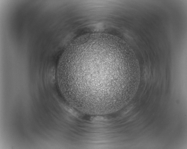 X0000067930230200604131431