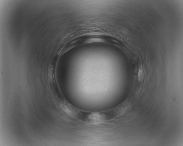 X0000067930231200604131431