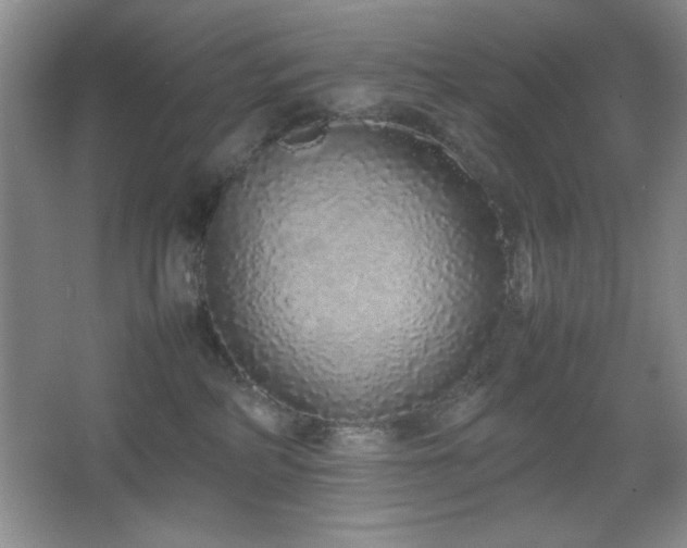 X0000067930234200604131431