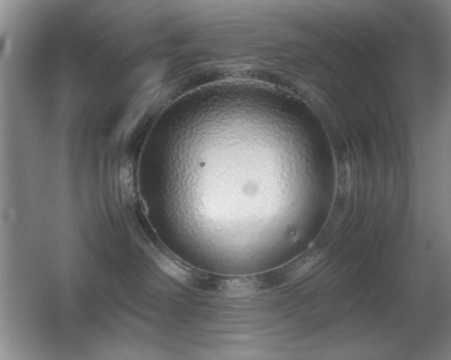 X0000067930238200604131431