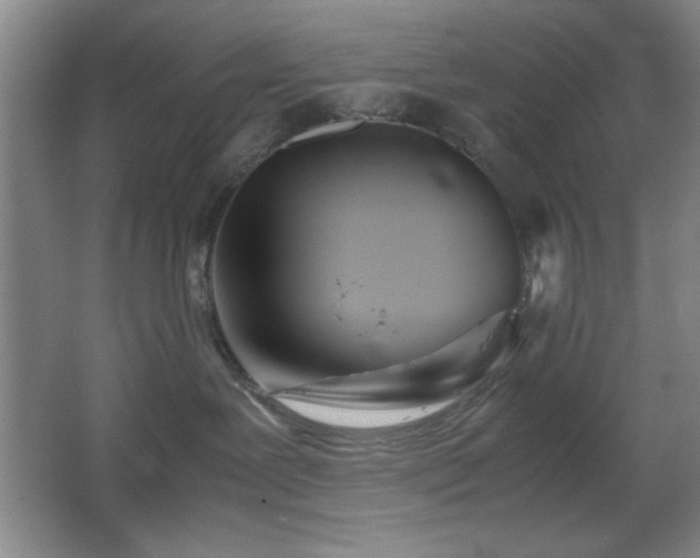 X0000067930239200604131431