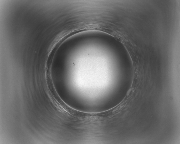 X0000067930242200604131430
