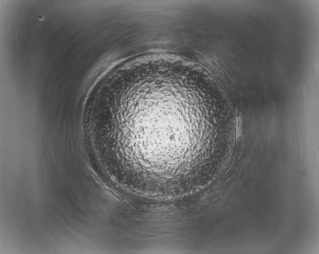 X0000067930243200604131430