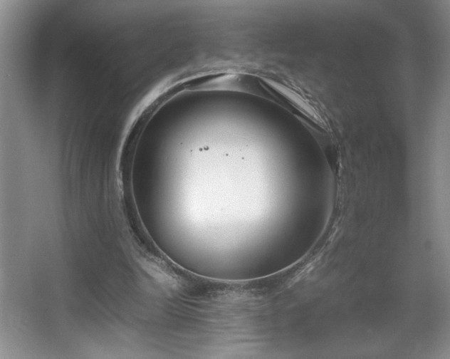 X0000067930246200604131430