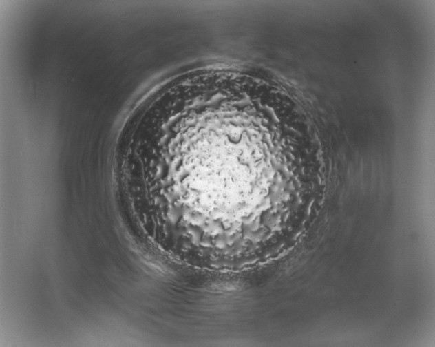 X0000067930247200604131430