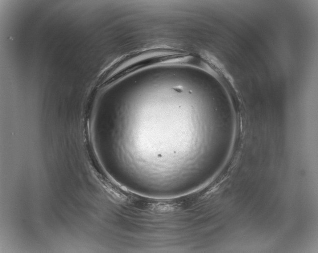 X0000067930249200604131430